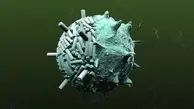  ‌‌ویروس؛ ابزاری بیولوژیک برای ساخت نسل آینده باتری‌های جهان 