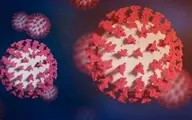 اخطار بزرگ پزشکان برای مردم دنیا | زمستان امسال با سه ویروس مرگبار رو به رو هستیم + جزئیات