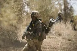 کشته شدن ۳۰ نفر به دست افراد مسلح در مالی