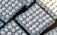 قیمت تخم مرغ در 8 خرداد |  قیمت دوباره افزایش یافت ؟ هر کیلو تخم مرغ چند؟
