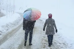 بارش برف در سنندج بعد از دو سال