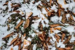 از امروز در این استان‌ها یخبندان می‌شود!