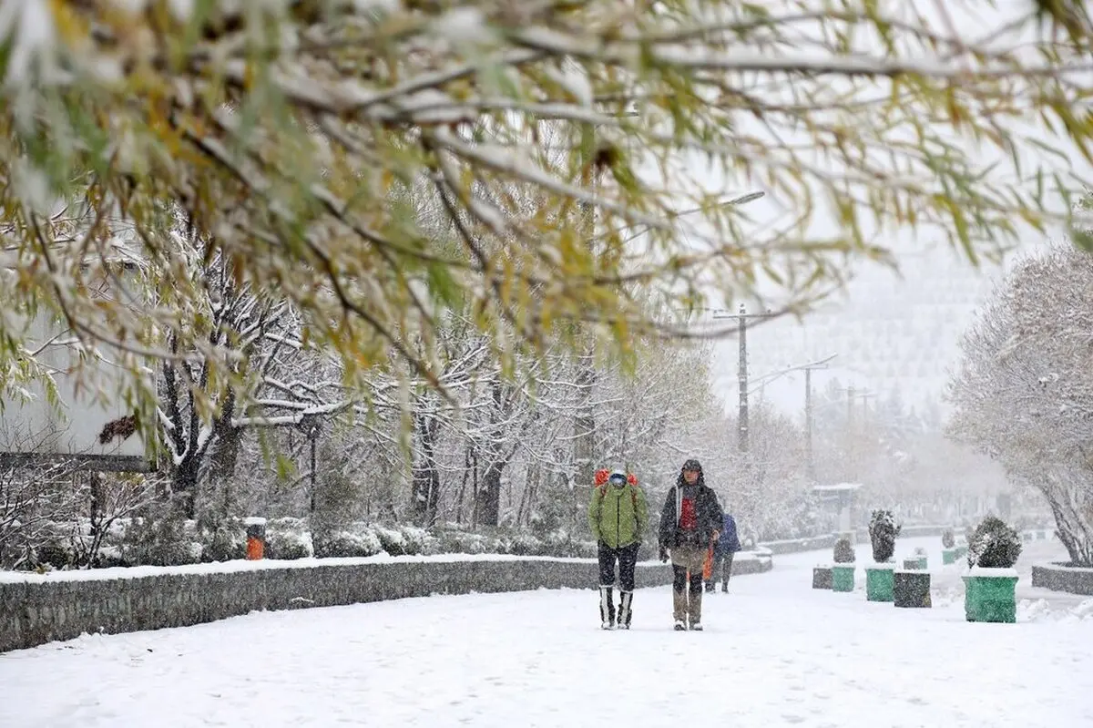 تهرانی ها منتظر بارش برف و کولاک باشند | کاهش دما تا پنجشنبه