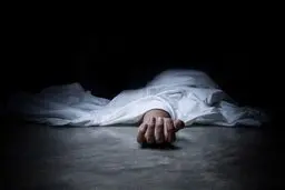 قتل همسر صیغه‌ای به دست پیرمرد بازنشسته 