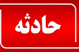 نزاع دسته جمعی به قتل ختم شد | قتل برادر با دستگاه علف چین!