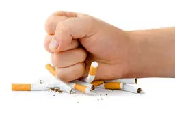 انجام این کارها بعد از غذا ممنوع! 