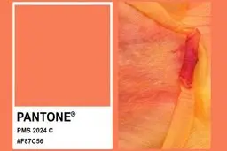 رنگِ هلویی مخملی به عنوان رنگ سال ۲۰۲۴ اعلام شد +تصویر