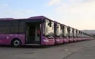 واردات اتوبوس در محاق؛ از کم‌کاری سازمان راهداری تا خطر مصادره اتوبوس‌ها توسط ترکیه