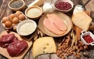 پروتئین چیست و چرا برای بدن حیاتی است؟ | پروتئین و مدیریت وزن: چگونه باعث لاغری یا تناسب اندام می‌شود؟