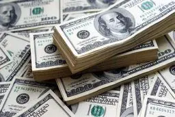  دستگیری یک قاچاقچی ارز در جنوب پایتخت 