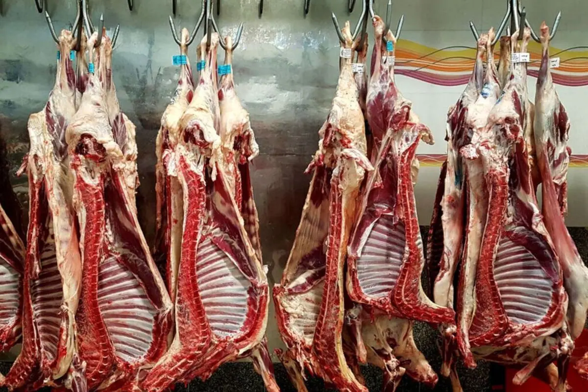 قیمت گوشت گوسفندی در بازار روز اعلام شد | قیمت گوشت چقدره؟