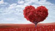 چند نوع عشق داریم؟ | طبقه‌بندی عشاق