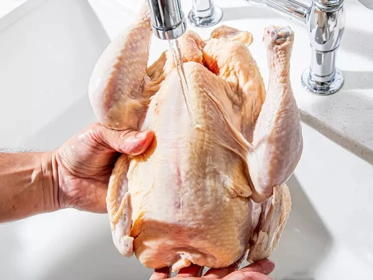 مرغ رو توی سینک نشور خطر داره | روش صحیح شستن مرغ +ویدئو