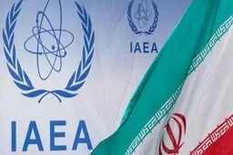 اخبار سیاسی امروز 20 خرداد | نمایندگی ایران: هیچ ماده هسته‌ای اظهار نشده‌ای در ایران وجود ندارد | در سفر به عربستان چه نکاتی باید رعایت شود؟