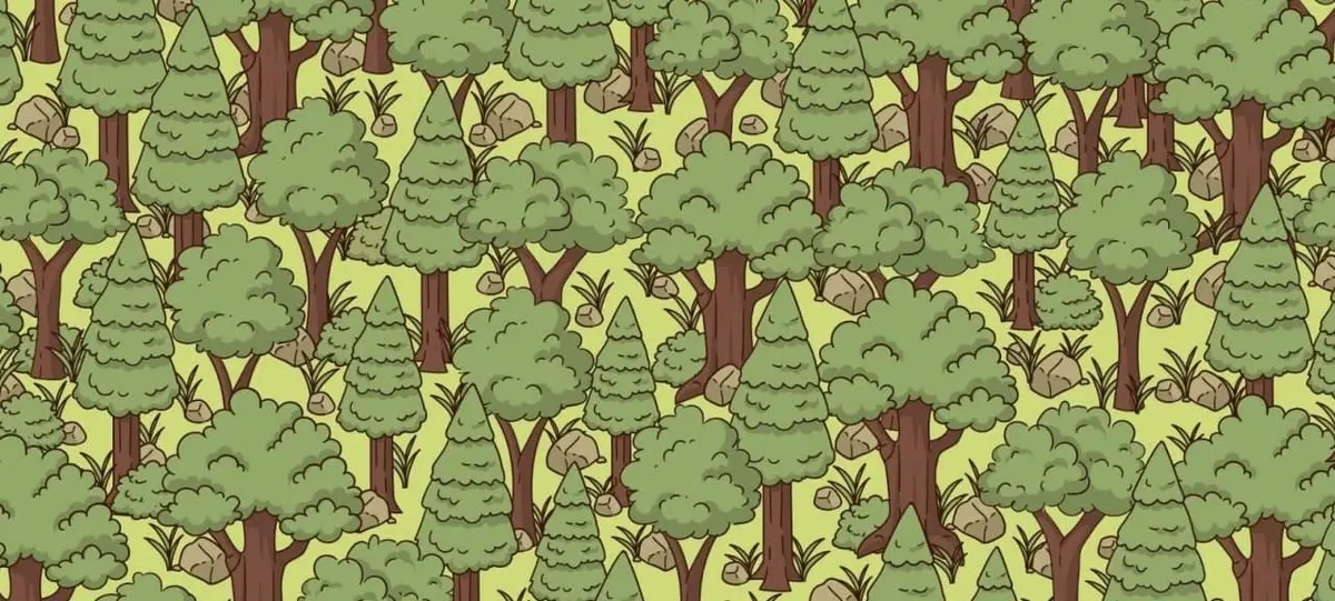 آیا می توانید خارپشت پنهان شده در جنگل را پیدا کنید؟+تصویر