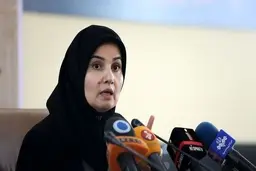 
معاون حقوقی رئیس جمهور: اصلاحات انجام شده در قانون همه پرسی را به دولت ارجاع دادیم 