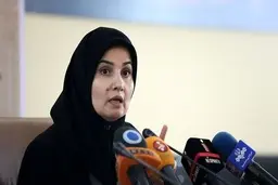 
معاون حقوقی رئیس جمهور: اصلاحات انجام شده در قانون همه پرسی را به دولت ارجاع دادیم 