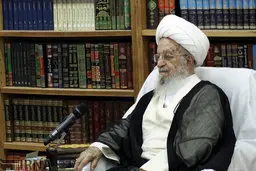 آیت‌الله العظمی مکارم: مخالفت با واکسن در منطق اسلام نیست