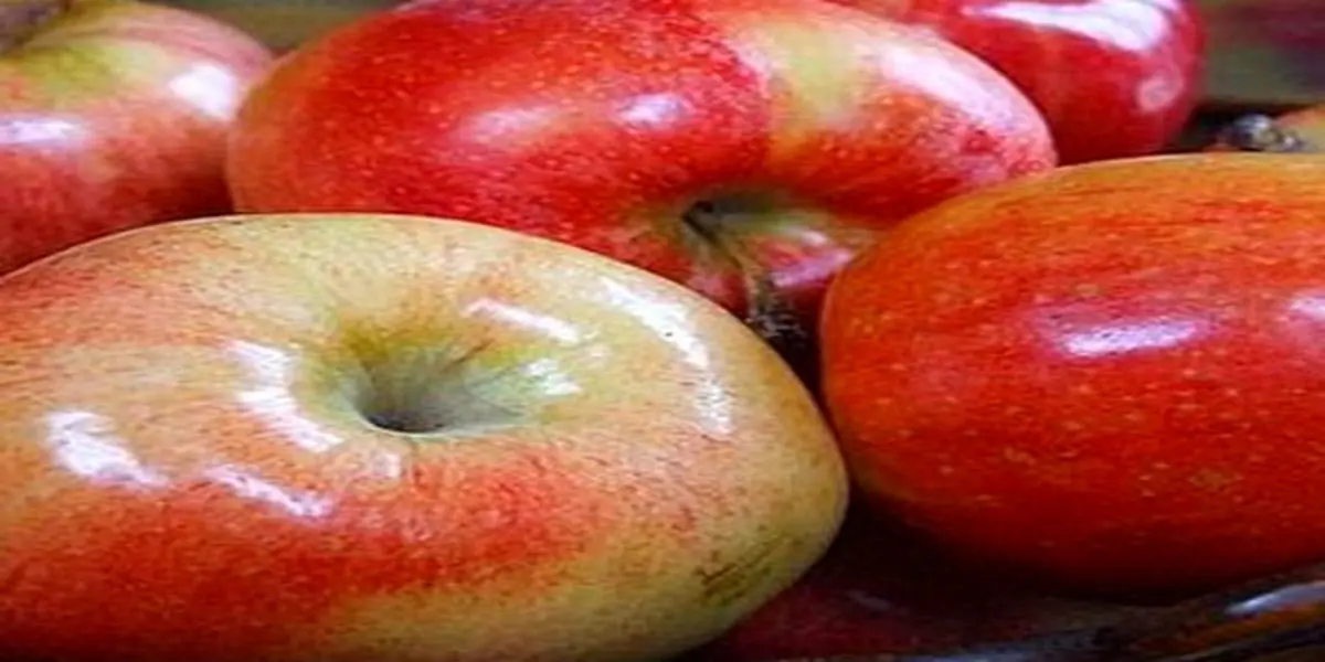 زیاد سیب نخورید! | خطرات وحشتناک خوردن سیب بیش از حد، که نمیدانستید