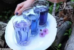 شربت مخصوص خواستگاری! | یکی از شیکترین و ساده ترین شربتها را یاد بگیرید