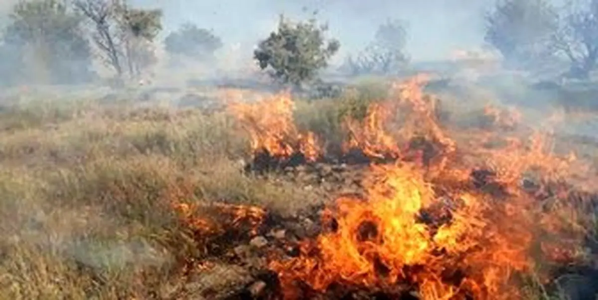  جنگل ها و مراتع گچساران در آتش می‌سوزد
