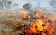  جنگل ها و مراتع گچساران در آتش می‌سوزد