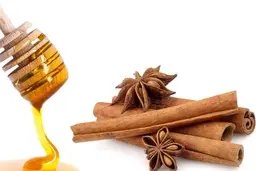 فواید شگفت انگیز مصرف عسل و دارچین | خواص هایی که معجزه میکند 