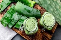 فواید باورنکردنی گیاه نچندان محبوب | برای درد مفاصل خود از آب کاکتوس استفاده کنید!