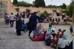 حادثه ای  در پل خواجو که به خیر گذشت | سقوط کودک به داخل آب + ویدیو