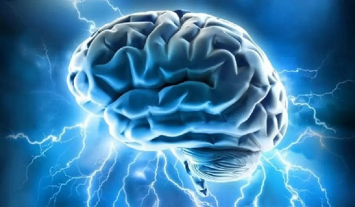 انقلابی در علم اعصاب: کشف ارتباط فرا-الکترونیکی مغز انسان! +ویدیو