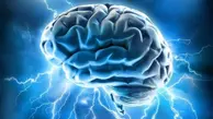 انقلابی در علم اعصاب: کشف ارتباط فرا-الکترونیکی مغز انسان! +ویدیو