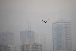 تمهیدات اورژانس تهران برای آلودگی هوا در میادین اصلی شهر