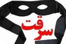 لحظه سرقت عجیب گوشی در احمدآباد مشهد +ویدئو