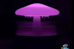 این چراغ شب بامزه عین بارون میباره و صدای باران درمیاره +ویدئو