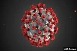 بازآرایی حوزه بهداشت برای مقابله با کرونا