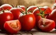 بدون آفتاب پودر گوجه فرنگی درست کنید | خواص  گوجه فرنگی + ویدئو 