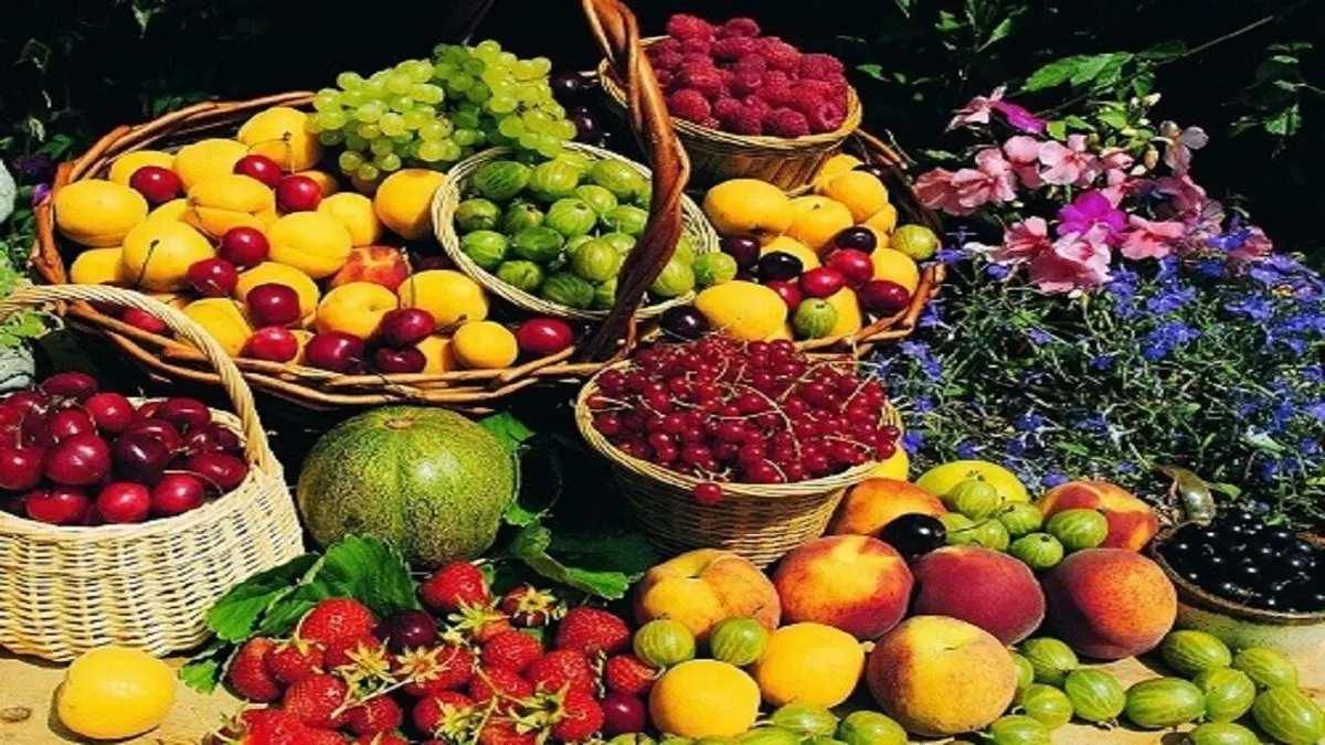 با میوههای تابستانی به جنگ بیماری بروید! | خواص میوههای تابستانی چیست؟