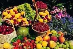 با میوه‌های تابستانی به جنگ بیماری بروید! | خواص میوه‌های تابستانی چیست؟