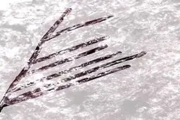  کشف  ساختاربسیار بزرگ‌تر و پیچیده‌ای در داخل  سنگ