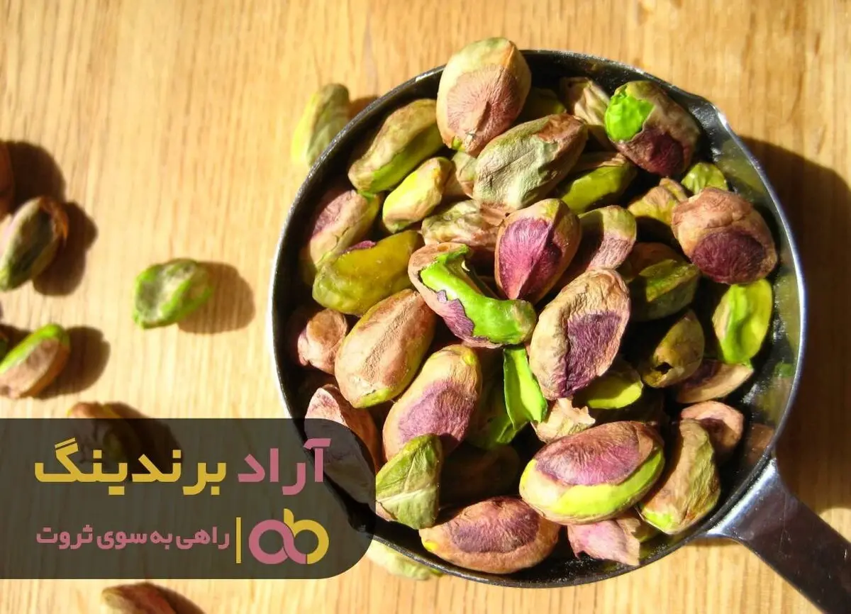 ریشه افکار مثبت را در ذهن خود بکارید
