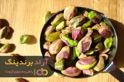 ریشه افکار مثبت را در ذهن خود بکارید