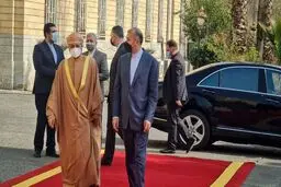 
تماس تلفنی وزیر خارجه عمان با امیرعبداللهیان
