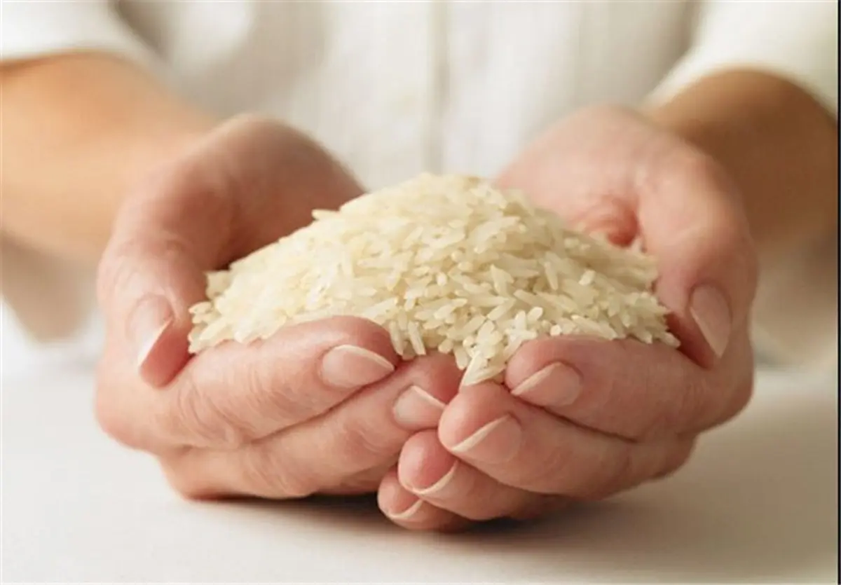 کاهش ۱۵ تا ۲۵ هزار تومانی قیمت برنج | برنج ارزان در راه است + جزئیات