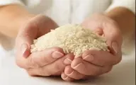 کاهش ۱۵ تا ۲۵ هزار تومانی قیمت برنج | برنج ارزان در راه است + جزئیات