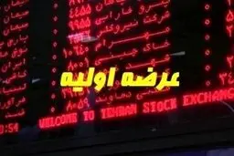 معرفی دو عرضه اولیه در هفته جاری