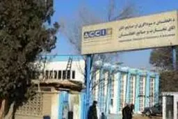 افغان‌ها، قربانیان تجارت سیاه شدند