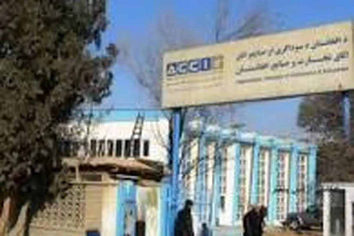 افغان‌ها، قربانیان تجارت سیاه شدند