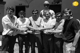  مرگ گربه "سه‌ شیرها" 