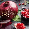 پیام تبریک شب یلدا | با پیام متنی و عکسی زیبا به استقبال تبریک شب یلدا برو! +تصویر