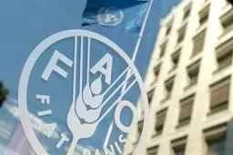 
فائو: جنگ روسیه و اوکراین باعث بحران غذا در جهان می شود
